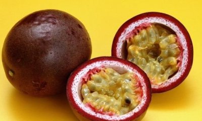 ​百香果的功效和作用 清除人体自由基养颜抗衰老