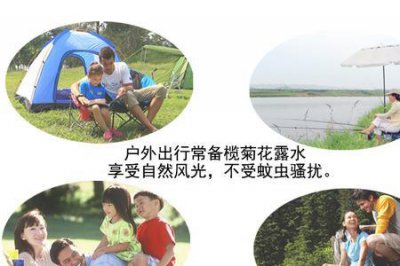 ​榄菊是什么植物