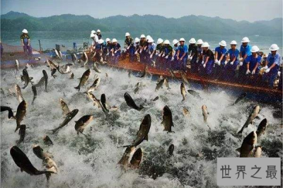 ​世界四大渔场排行榜 亚洲地区仅北海渔场上榜，欧洲占据两个