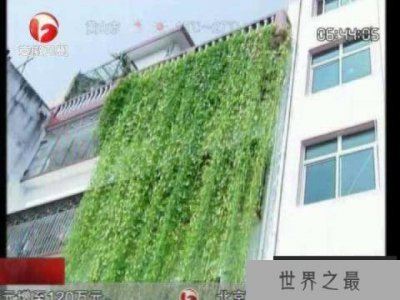 ​世界上最长的空心菜：长达17米，十分罕见！