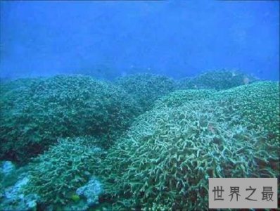 ​马绍尔群岛，太平洋上的黑珍珠，度假圣地