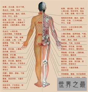 ​人体构造图解介绍 美国发现人体新型DNA