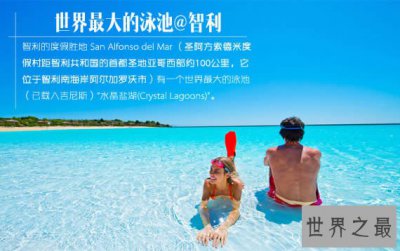 ​世界上最大的泳池，足足有11个足球场大(长900米)