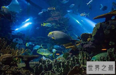 ​世界最大室内海洋展馆，永泰海洋极地世界(耗资10亿)