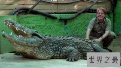 ​最大的鳄鱼是什么品种 由于人们的厮杀有些已经找不到