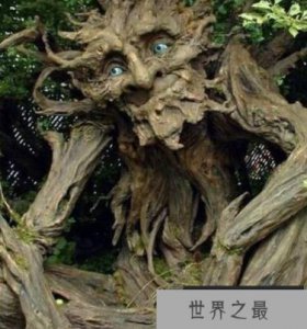 ​可怕的食人植物，一被缠住就化为白骨