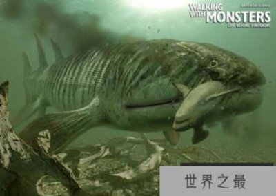 ​含肺鱼VS邓氏鱼谁更厉害，海陆两栖的巨无霸