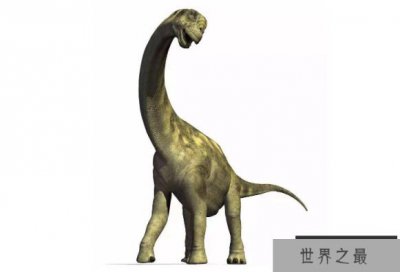 ​世界最大的十大恐龙 阿根廷龙位列榜首，高度达35米