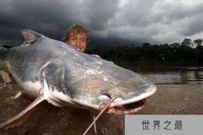 ​最凶猛的淡水鱼top10 六须鲇性格凶猛能够生吃人类