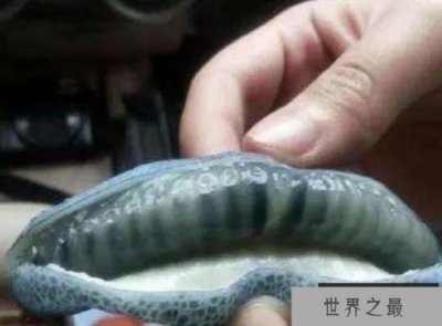 ​世界上最吓人的水果有的恶心到让你无法下口有的也挺可爱