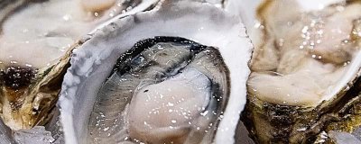 ​生蚝冷水煮还是热水