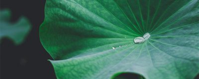 ​雨水节气风俗食物