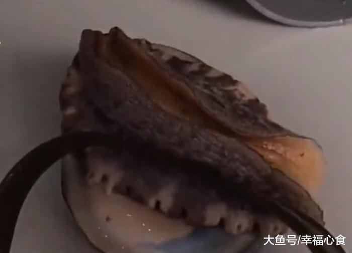 世上“最大”的鲍鱼，一只就够15个成年人吃，这就是红鲍