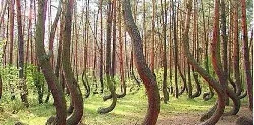 科学院内幕揭秘：诡异的十大未解之谜