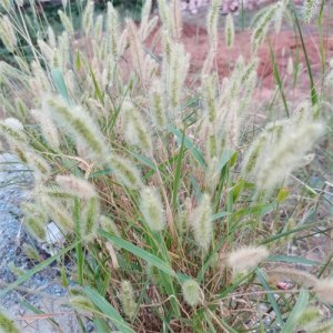 ​写出你知道的30种职业