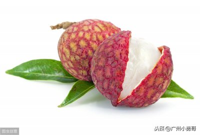 ​中国荔枝的十大排名，你知道几个，没想到白糖罂荔枝还是皇室贡品