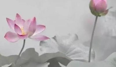 ​一个人越不合群，越会有这3个特点，稍加利用，往后会越过越顺