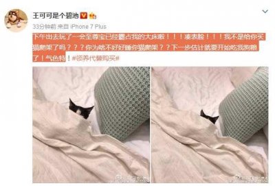 ​王思聪再添新宠 王可可被欺负 网友：首富孙女地位堪忧啊！