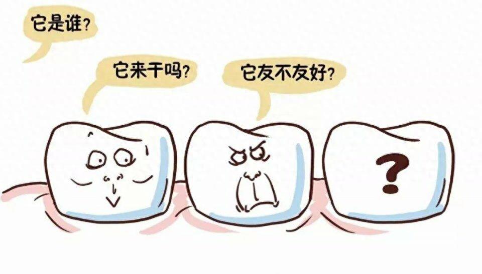 七张图带你看智齿