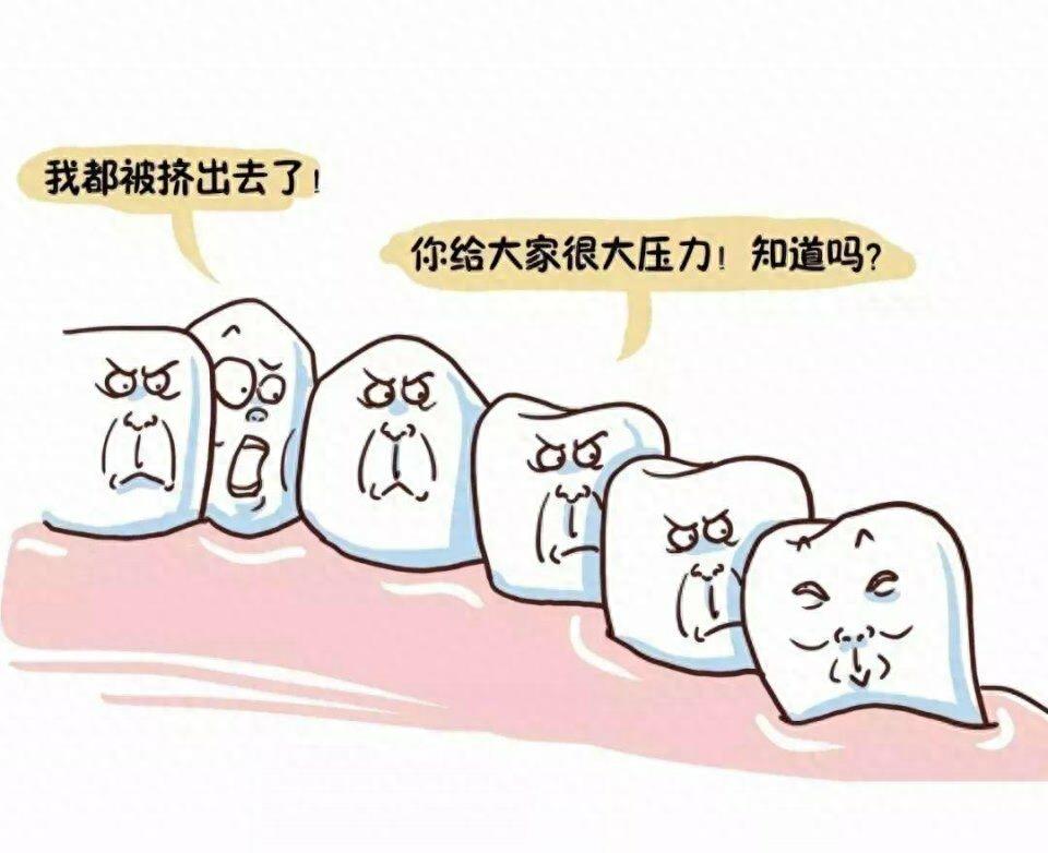 七张图带你看智齿
