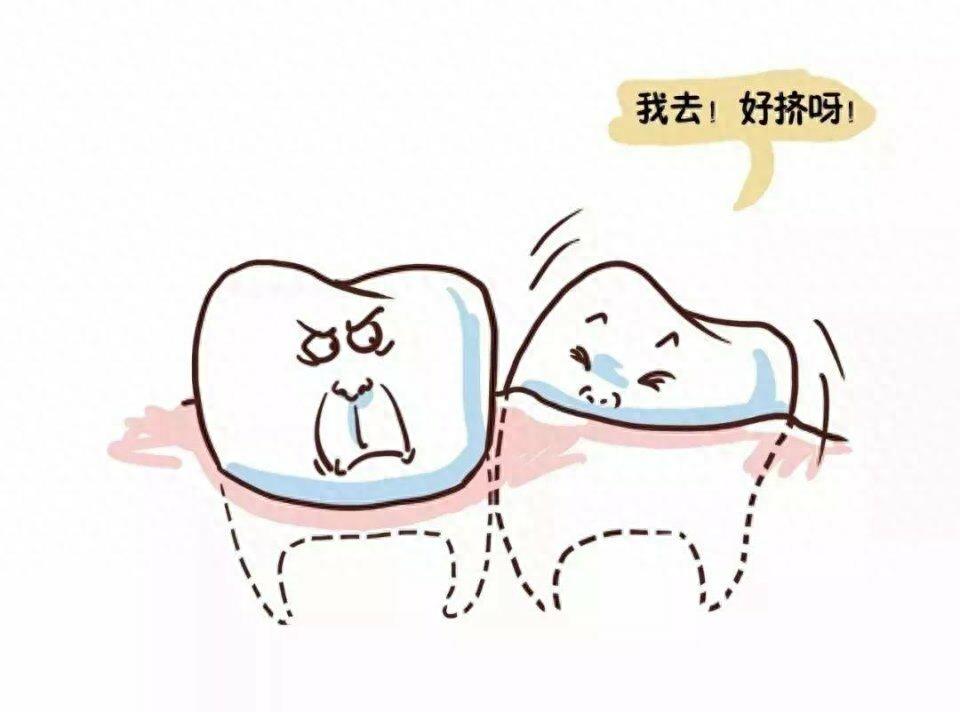 七张图带你看智齿