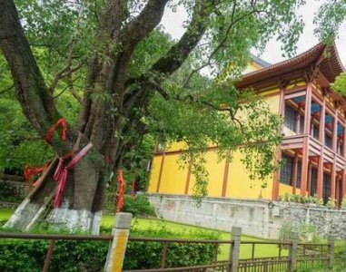 ​广西贵港南山寺