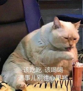 ​吃货专属的表情包合集｜该吃吃该喝喝，遇事儿别往心里搁