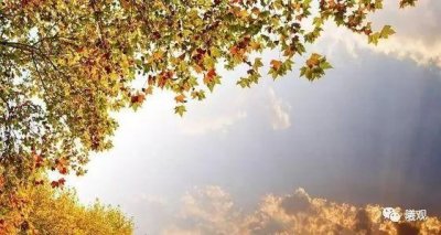 ​刘言史《立秋》：云天收夏色，木叶动秋声