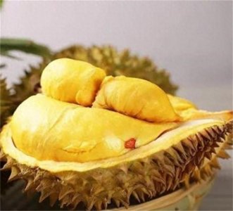 ​同样是榴莲，猫山王好吃还是金枕？它和普通榴莲有什么区别？