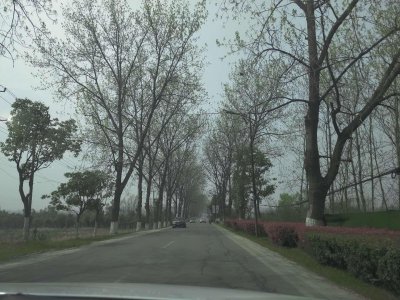 ​在合肥发现了一处适合拍照的地方