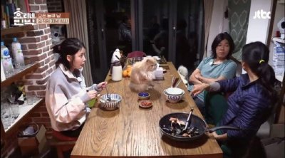 ​《孝利家民宿2》朴宝剑把高冷美美也征服，IU也要伤心的差别待遇