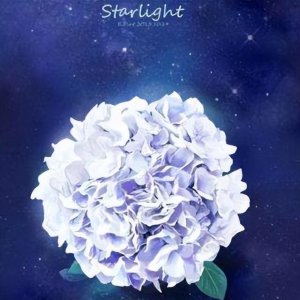 ​《星星上的花》：你爱着他时，他也刚好爱你