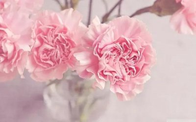 ​退休手续办理的正确流程