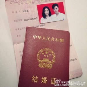 ​刘洲成孕期家暴致离婚的妻子林苗太彪悍了 多金整容未婚生子