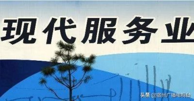 ​埇桥区启动省级服务业标准化试点项目