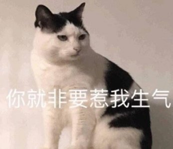 ​超凶 凶巴巴的表情包合集