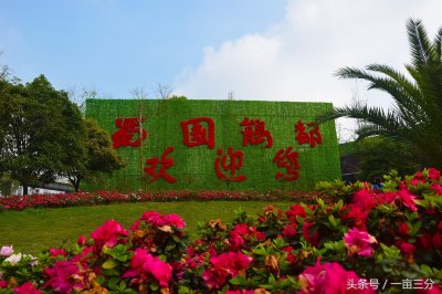 ​流连郫都蜀国鹃都-成都游记之一