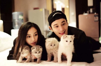 ​黄晓明夫妇官宣离婚，声明内容一致！baby那声黄先生成为了现实
