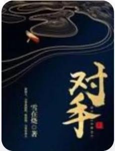 ​推荐官场小说佳作《对手》作者：雪在烧，驻京办主任傅华的成长