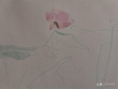 ​手绘古风彩铅荷花，看起来仙气飘飘，是你喜欢的样子吗