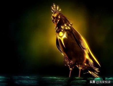 ​三条脚的鸟儿？！《山海经》中的金乌、瞿如和酸与……