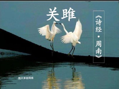 ​古诗《关睢》赏析