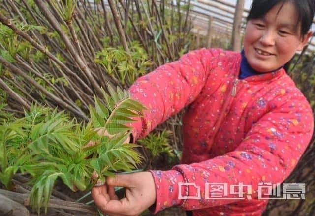 山东有啥有名的土特产零食（山东特产有哪些土特产）