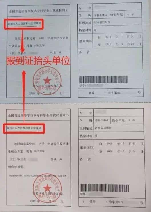 报到证的作用不包括什么（报到证怎么用）