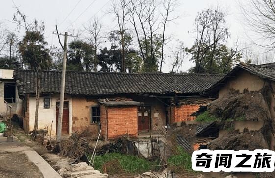 张扣扣事件经过,张扣扣案件的全过程及分析