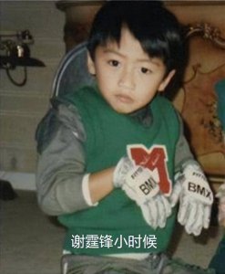 ​谢霆锋：从“星二代”到“拼命三郎”，他的江湖永不散场