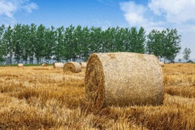 ​烧还是不烧？中国秸秆禁烧政策背后的生态与生存之战