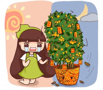 ​招财树叶子发黄掉叶子是怎么回事（发财树为什么黄叶子）