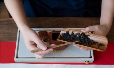 ​经常喝茶可以减肥吗(喝绿茶叶能减肥吗)