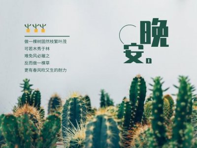​巩俐上热搜后，评论区留下10000句羞辱：外貌羞辱是一把枷锁